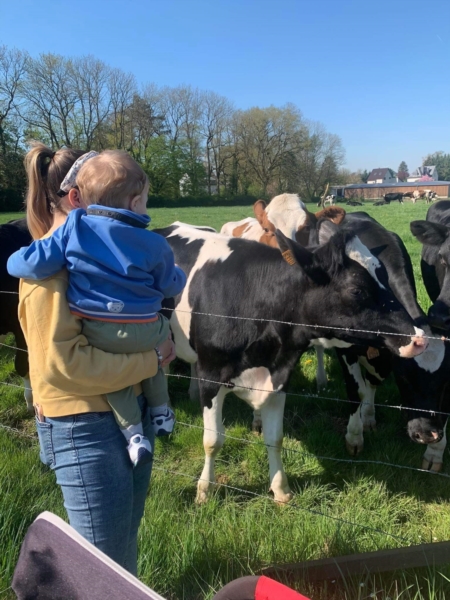 Image 1 : Crèche et foyer de jour enfant à Capellen : Gekko Sàrl