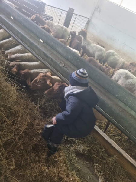 Image 1 : Crèche et foyer de jour enfant à Musson : Crèche la Cigogne