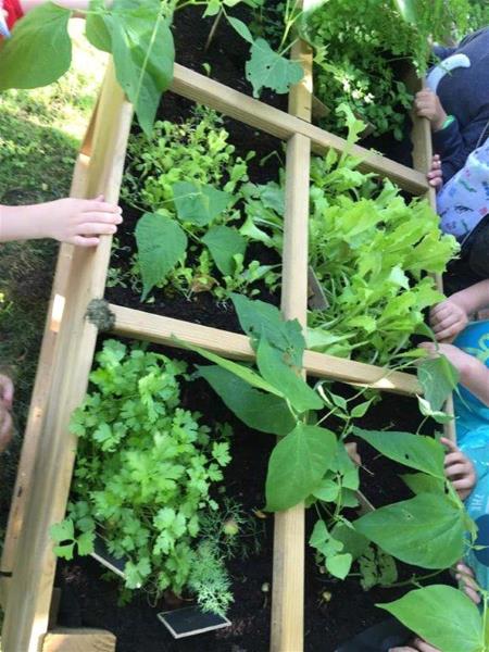 Image 1 : Crèche et foyer de jour enfant à Rodange : Les Scoubidoux