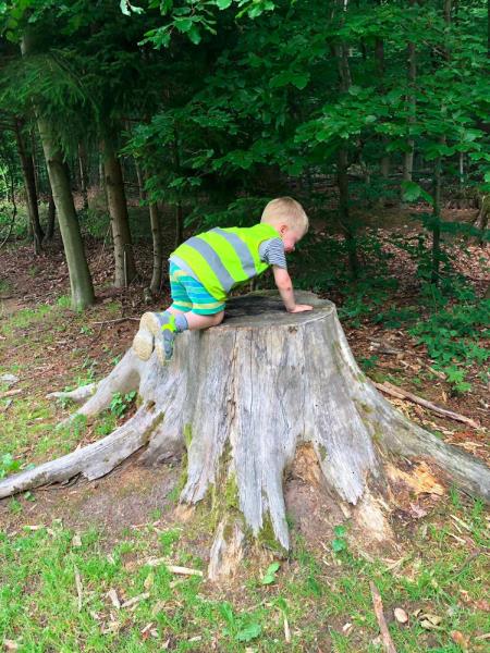 Image 2 : Crèche et foyer de jour enfant à Helmsange : Cannelle & Caramel - Crèche écologique