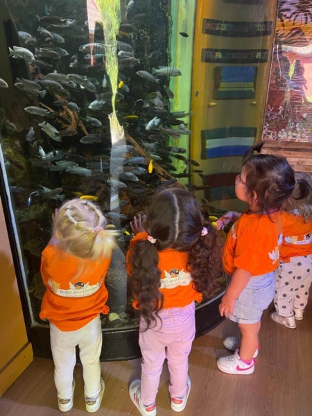 Image 2 : Crèche et foyer de jour enfant à Colmar-Berg : Engelshaischen SA