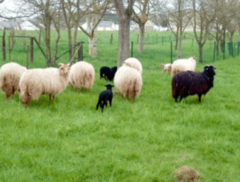 Image 3 : Crèche et foyer de jour enfant à Junglinster : Kwaki (Crèche)