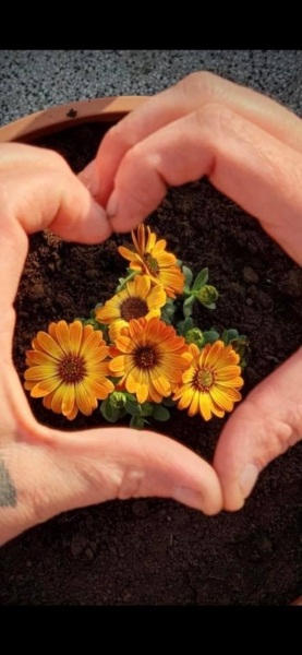 Image 3 : Crèche et foyer de jour enfant à Wilwerdange : Crèche le Bonheur