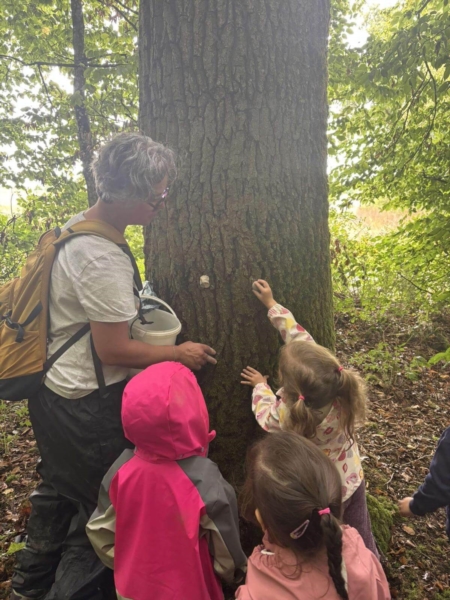 Image 3 : Crèche et foyer de jour enfant à Bettembourg : Crèche Les Frimousses