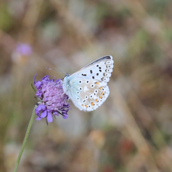 Image 1 : Crèche et foyer de jour enfant à Schuttrange : Crèche Charlilly SARL