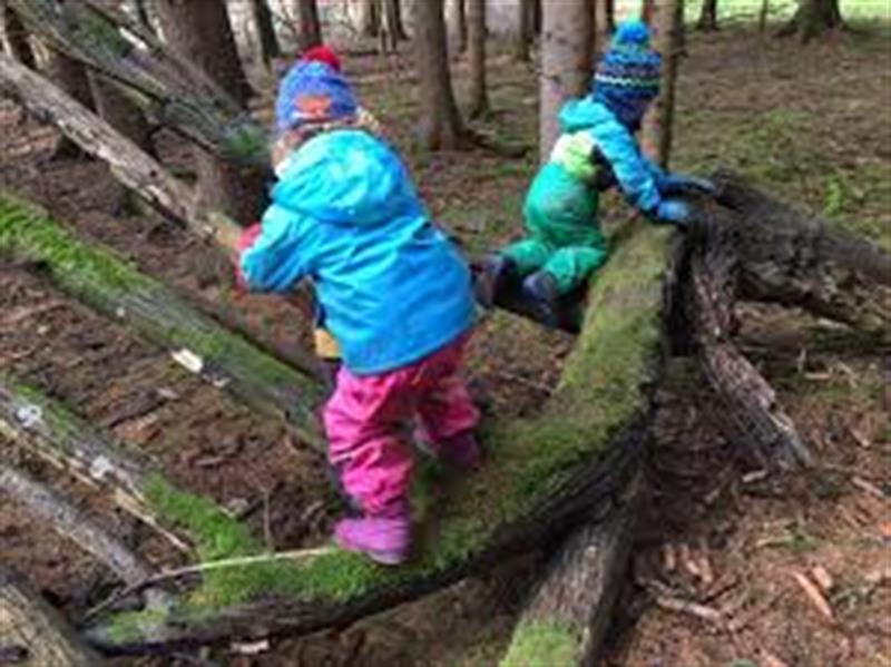 Image 3 : Crèche et foyer de jour enfant à Flaxweiler : Crèche Am Hummelnascht