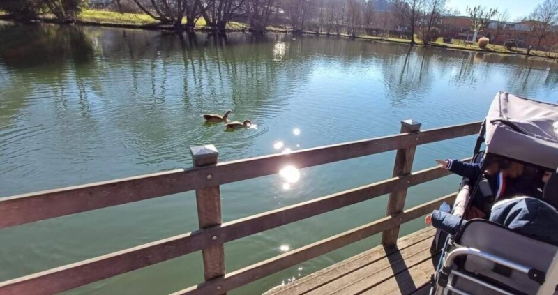 Image 5 : Crèche et foyer de jour enfant à Colmar-Berg : Engelshaischen SA