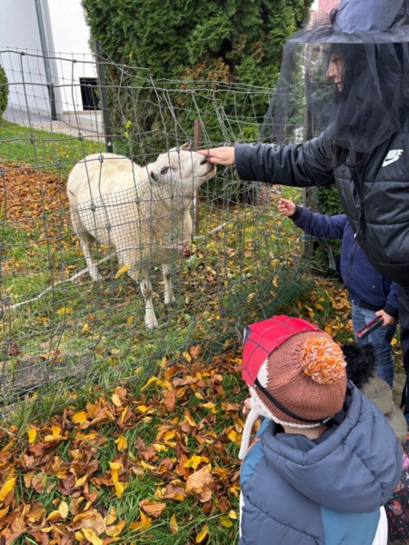 Image 7 : Crèche et foyer de jour enfant à Koerich : Maerchenland Sàrl