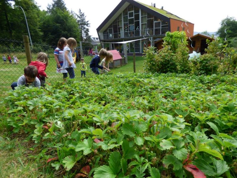 Image 3 : Crèche et foyer de jour enfant à Helmsange : Cannelle & Caramel - Crèche écologique