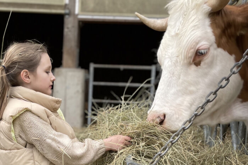 Image 2 : Crèche et foyer de jour enfant à Schuttrange : Crèche Charlilly SARL