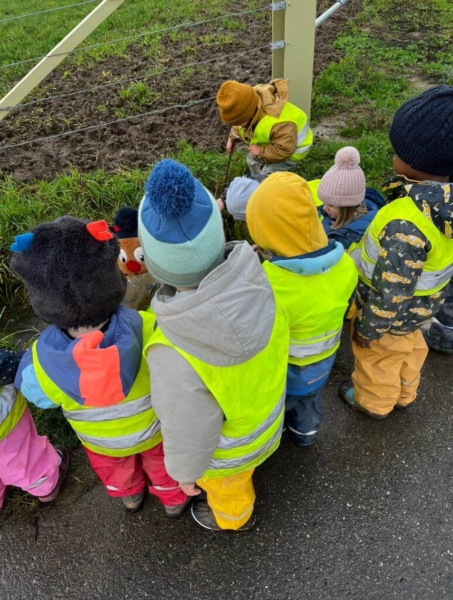 Image 10 : Crèche et foyer de jour enfant à Flaxweiler : Crèche Am Hummelnascht