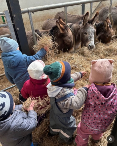 Image 9 : Crèche et foyer de jour enfant à Koerich : Maerchenland Sàrl