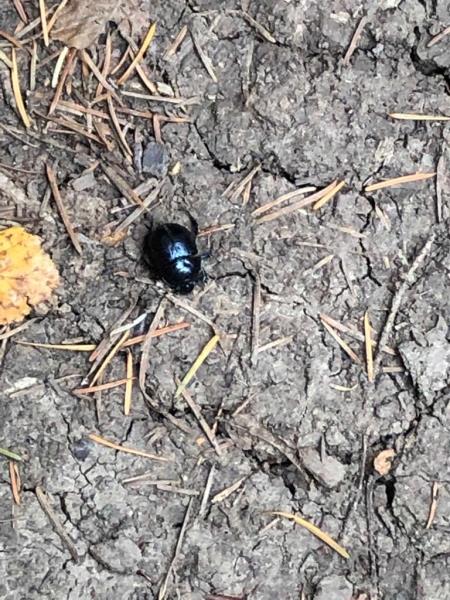Image 11 : Crèche et foyer de jour enfant à Flaxweiler : Crèche Am Hummelnascht