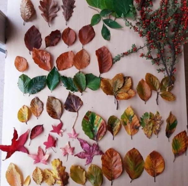 Image 13 : Garderie à Schifflange : Crèche Bébé Star