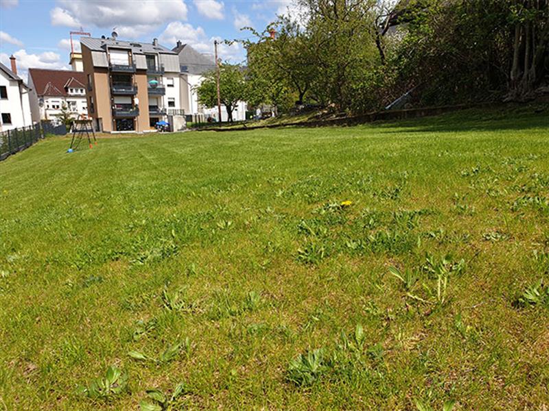 Image 4 : Crèche et foyer de jour enfant à Rodange : Les Scoubidoux