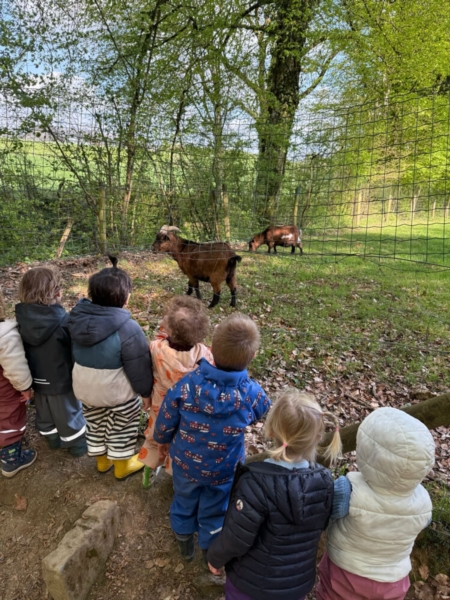 Image 21 : Crèche familiale à Koerich : Maerchenland Sàrl