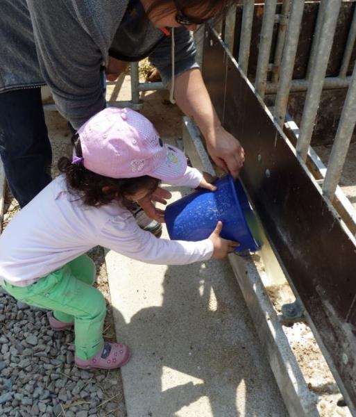 Image 2 : Crèche et foyer de jour enfant à Luxembourg : Crèche Bambesch Kids