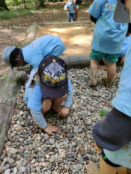 Image 9 : Crèche et foyer de jour enfant à Colmar-Berg : Engelshaischen SA