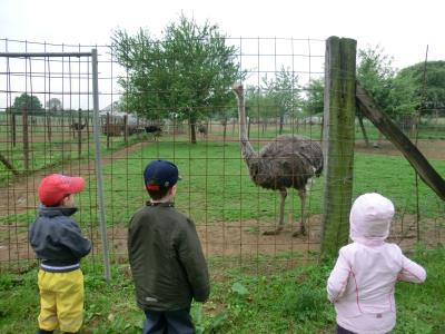 Image 10 : Crèche et foyer de jour enfant à Wintrange : Crèche Krunnemecken