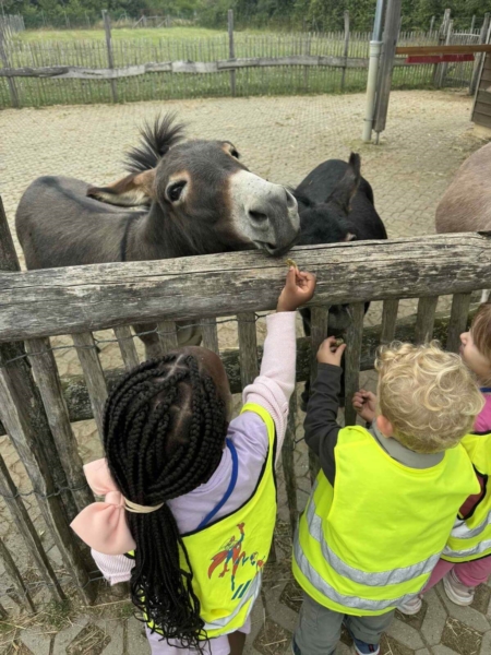 Image 12 : Crèche et foyer de jour enfant à Differdange : Crèche les Colombes
