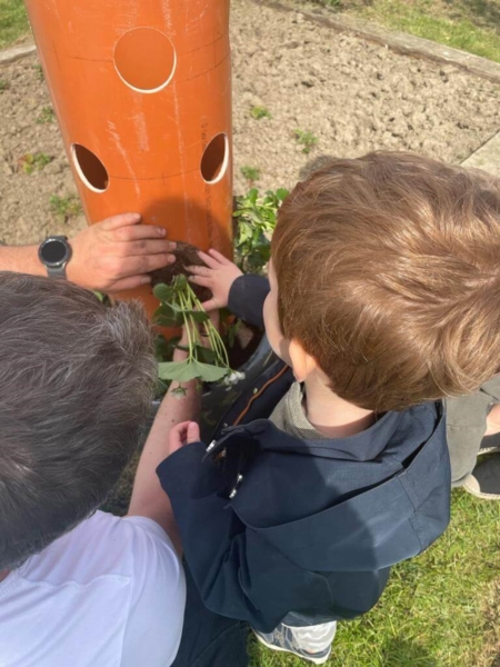 Image 4 : Crèche et foyer de jour enfant à Capellen : Gekko Sàrl
