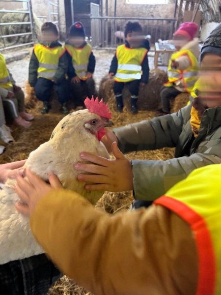 Image 8 : Crèche et foyer de jour enfant à Differdange : Crèche Les Joyeux Nains