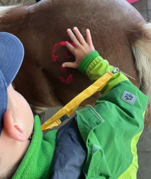 Image 2 : Crèche et foyer de jour enfant à Wiltz : Kannerhaus Wooltz asbl - Maison Relais Reenert