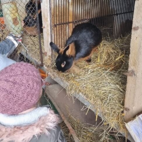 Image 15 : Crèche et foyer de jour enfant à Colmar-Berg : Engelshaischen SA