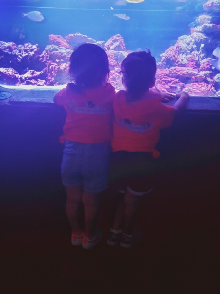 Image 16 : Crèche et foyer de jour enfant à Colmar-Berg : Engelshaischen SA