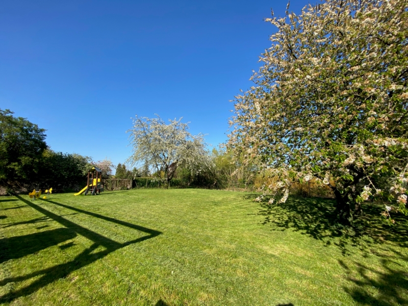 Image 6 : Crèche et foyer de jour enfant à Schwebsingen : Garden of Awakening - Crèche Le jardin d’éveil