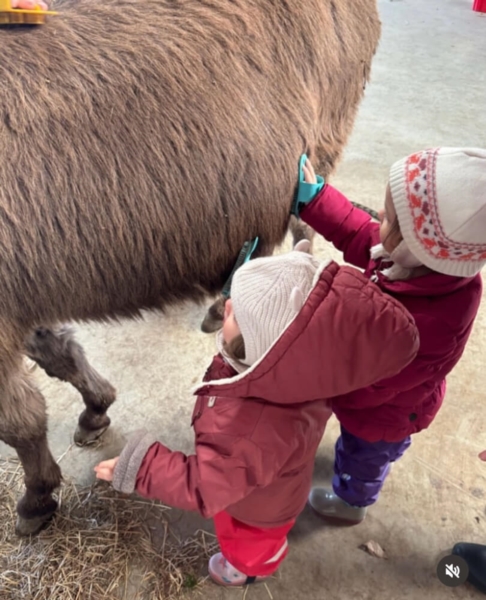 Image 24 : Crèche et foyer de jour enfant à Koerich : Maerchenland Sàrl