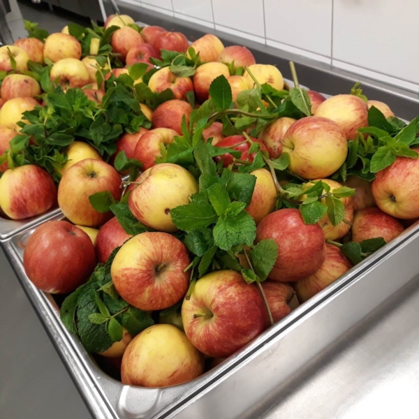 Image 4 : Restauration collective à Ettelbruck : Food for Kids - Traiteur petite enfance Luxemboug