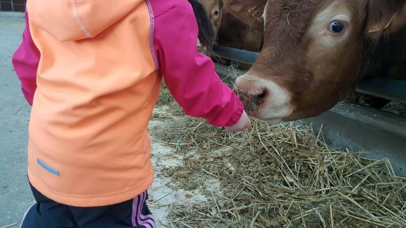 Image 8 : Crèche et foyer de jour enfant à Oberfeulen : Crèche Feelener Zwergewiss